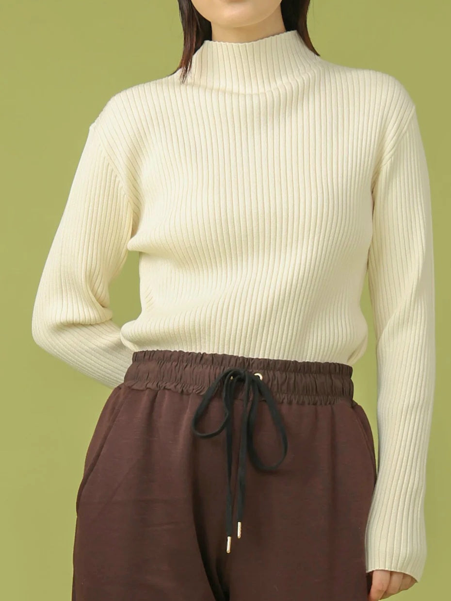 trois　ソフトテレコリブハイネックニット