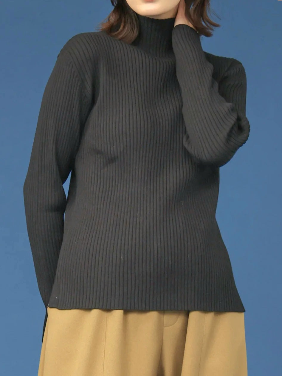 trois　ソフトテレコリブハイネックニット