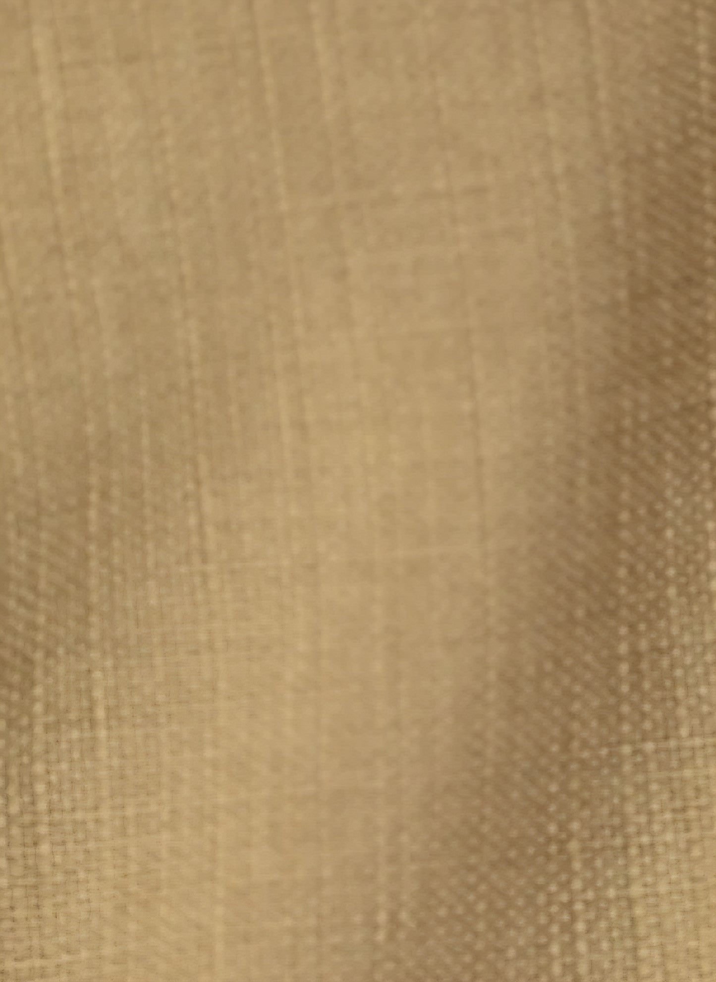 trois エコスラブドロストワイドパンツ